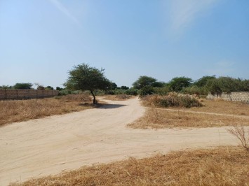 TERRAIN A VENDRE A SALY JOSEPH