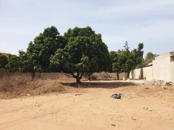 Terrain de 1200m2 à vendre