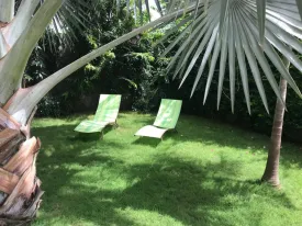 Villa contemporaine sur un terrain de 1200m2, très arboré, un magnifique jardin,
3 chambres, 3 salles d'eau privatives, placard dans les chambres, salon -séjour
cuisine ouverte et très bien équipée , cellier, cuisine extérieure ,
une grande terrasse aménagée ouverte sur la piscine, garage fermé , parking, local gardien
puits, compteur Sen 'eau