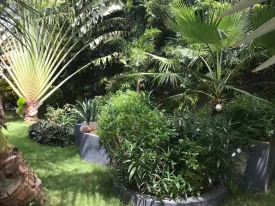 Villa contemporaine sur un terrain de 1200m2, très arboré, un magnifique jardin,
3 chambres, 3 salles d'eau privatives, placard dans les chambres, salon -séjour
cuisine ouverte et très bien équipée , cellier, cuisine extérieure ,
une grande terrasse aménagée ouverte sur la piscine, garage fermé , parking, local gardien
puits, compteur Sen 'eau
