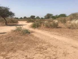 Terrain à vendre à Saly Joseph,
Situé entre 2 murs de proprietés vosines , zone en plein développement
et facilement accessible
Idéal pour un projet immobilier
Electricité à 15 m
Bail en cours de traitement
