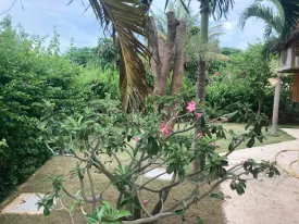 Résidence sécurisée en plein centre de Saly
