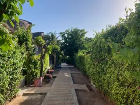 Villa à SALY à louer - Photo 16