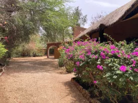 Terrain clôturé de 3954 avec maison , piscine et fort potentiel de développement à la Somone 