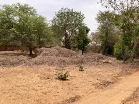 Terrain clôturé de 3954 avec maison , piscine et fort potentiel de développement à la Somone 