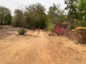 Terrain clôturé de 3954 avec maison , piscine et fort potentiel de développement à la Somone 