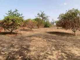 Terrain à BANDIA en vente - Photo 6