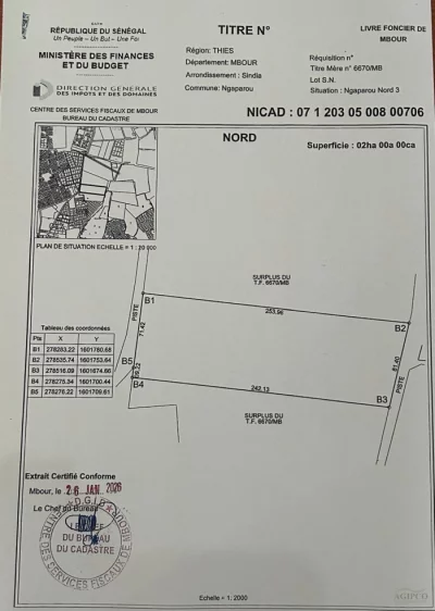 TERRAIN DE 2 HECTARES À VENDRE-NGAPAROU NORD 