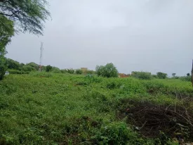 Terrain à NGAPAROU en vente - Photo 4