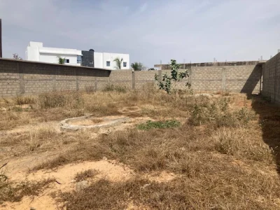 Belle parcelle cloturée à vendre à Synthiane 600m du "Domaine des Parcs de Saly"
Quartier en plein expansion 
Papier délibération