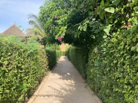 Villa idéalement située en plein centre ville de Saly,
au sein d'une résidence calme et sécurisée avec piscine commune
Elle se compose d'1 chambre avec salle de bain privative, un salon,
cuisine fonctionnelle , une terrasse, réserve d'eau, un lave linge